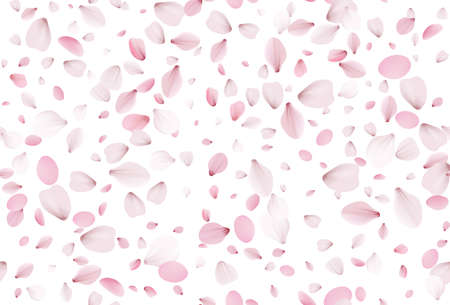 Seamless sakura petals. Falling realistic cherry petalsのイラスト素材