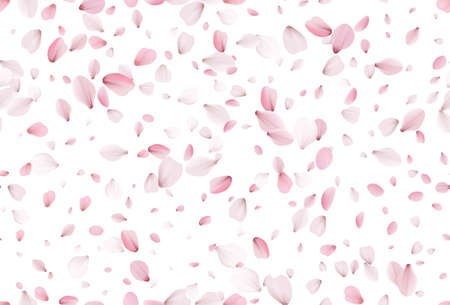 Seamless sakura petals. Falling realistic cherry petalsのイラスト素材