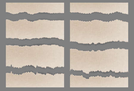 Torn ripped cardboard. Textured setのイラスト素材