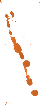 Narrow downward trail of brown pigment.の写真素材