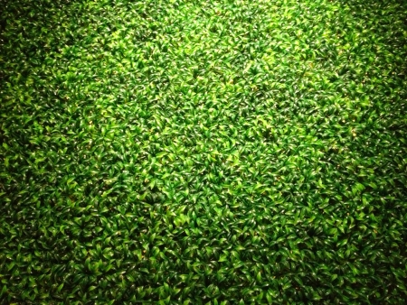 Artificial grass at wall panelの素材