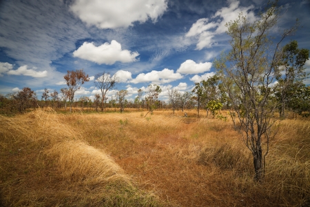 Landscape of Kakadu National Park, Australiaの写真素材
