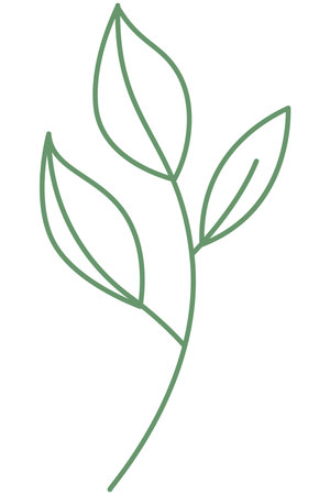 leafs plant ecology icon vector illustration design vector illustration eps 10のイラスト素材
