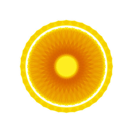 unique geometric mandalas designのイラスト素材