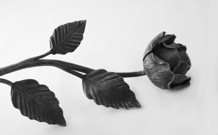 iron roseの写真素材