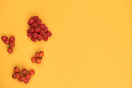 autumn colorful backgroundの写真素材