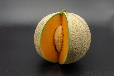 a charentais / cantalupe melonの写真素材