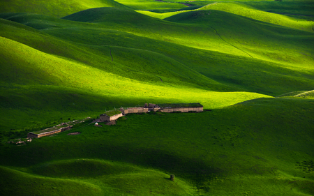 Grassland scenery of Xinjiangの写真素材