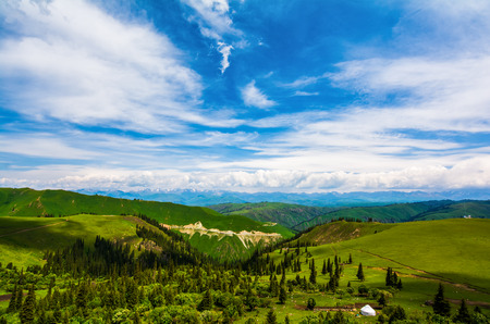 Grassland scenery of Xinjiangの写真素材