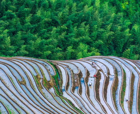 Guangxi Longji Terraced Sceneryの写真素材