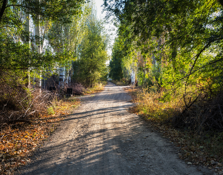 Tacheng country road in autumnの写真素材