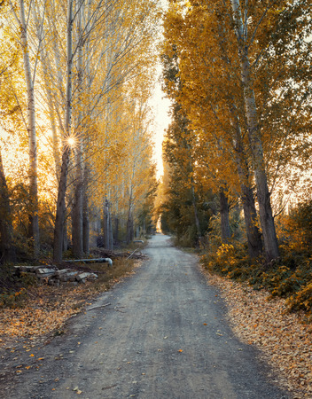 Tacheng country road in autumnの写真素材