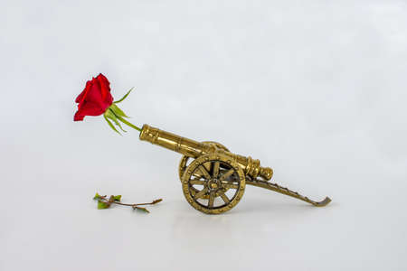 Decoration: brass cannon from the 1800 century with a rose, isolated on a light background.の写真素材