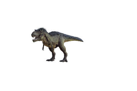 tyrannosaurus rex, in different poses for better adaptation to your collagen. 3d illustration, 3d rendering.の写真素材