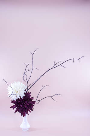 Image georgines flowers decoration ikebana with the tree branch on a light purple background. Image suitable greeting cards, Valentine's Day, birthday card, postcards.の写真素材