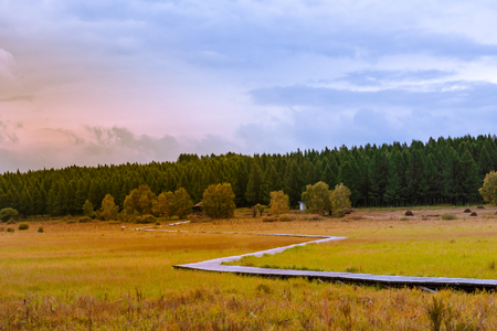Prairie trestle Road on Bashangの写真素材