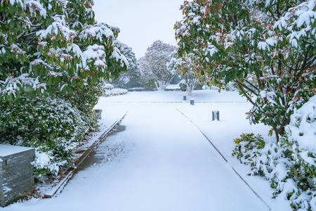 Landscape view of a snow landの写真素材