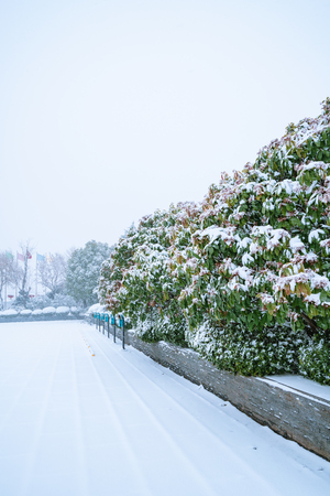 Landscape view of a snow landの写真素材