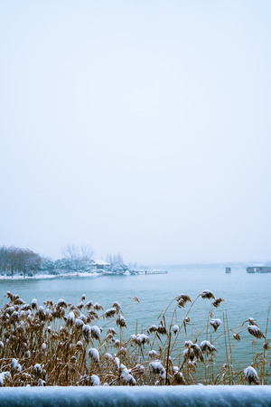 Luoma Lake landscape view during winterの写真素材