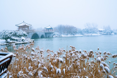Luoma Lake landscape view during winterの写真素材