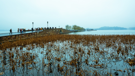 West Lake landscape view of a lotus pondのeditorial素材