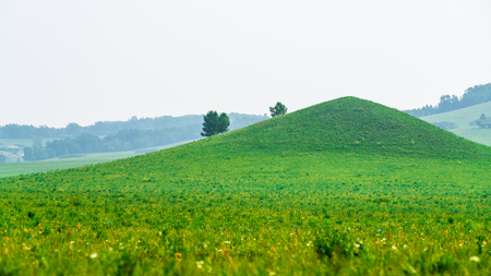 grassland sceneryの写真素材