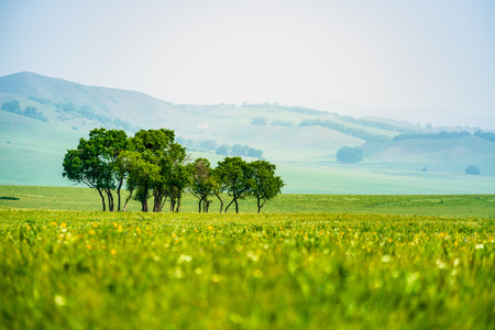 grassland sceneryの写真素材