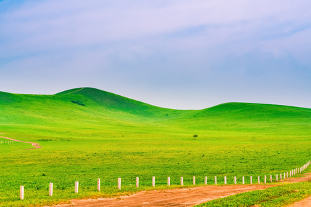 grassland sceneryの写真素材