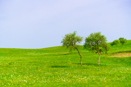 grassland sceneryの写真素材