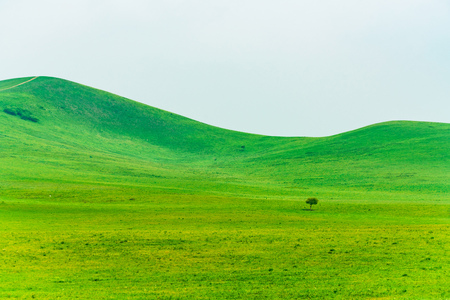 grassland sceneryの写真素材