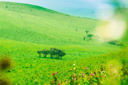 The Ulan prairie in the midsummerの写真素材