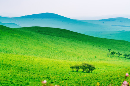 The Ulan prairie in the midsummerの写真素材