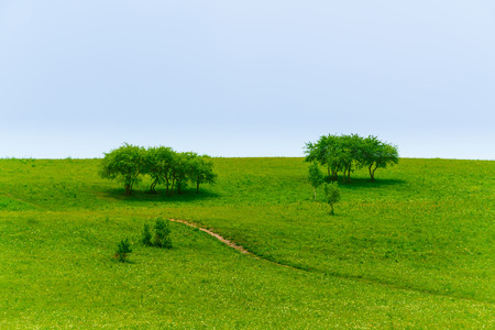 The summer prairieの写真素材
