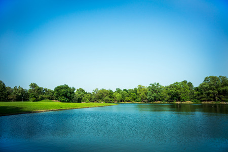 Reflection of Forest Lawn forestの写真素材