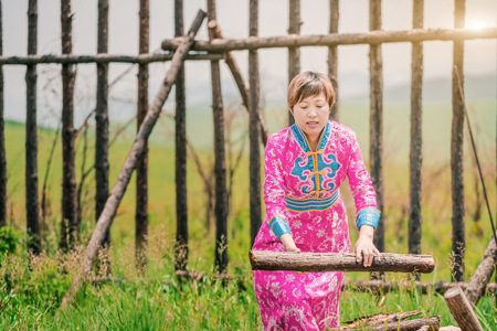 Mongolian woman picking up firewoodの写真素材