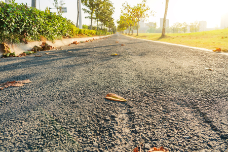 asphalt road in early autumn morningの写真素材