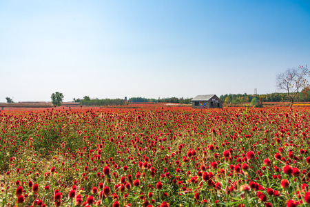 Santai Park sceneryのeditorial素材