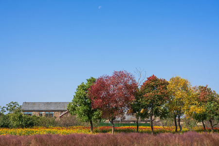 Santai Park sceneryのeditorial素材