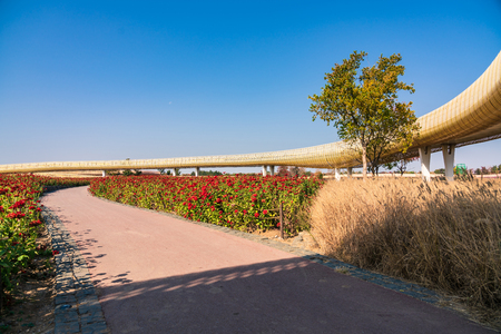 Santai Park sceneryの写真素材