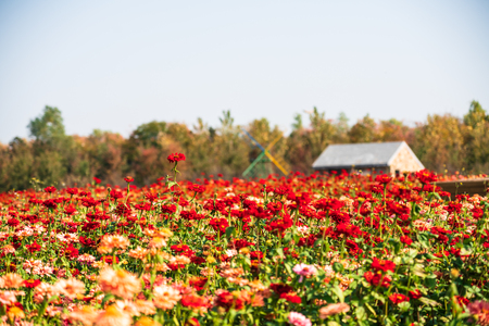 Santai Park sceneryの写真素材