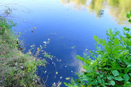 river on a sunny autumn dayの写真素材