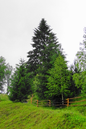 carpathian village volosyanka ukraineの写真素材