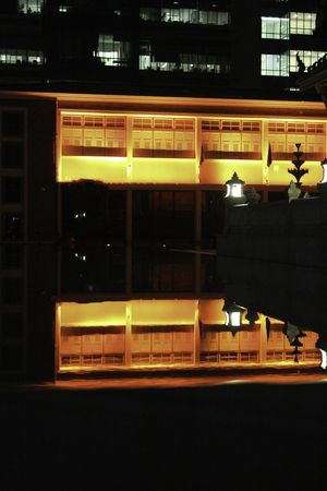 Shadow and light in the night