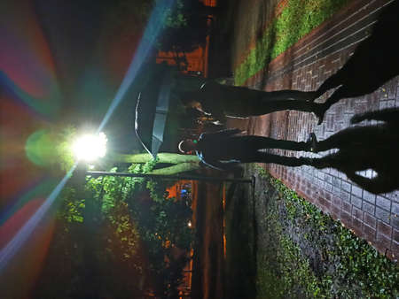 young men walking in the parkの写真素材
