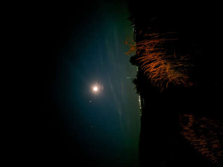 lonely moon shines in the field
