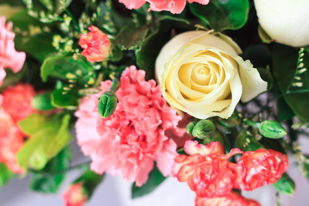 flowers for background textureの写真素材