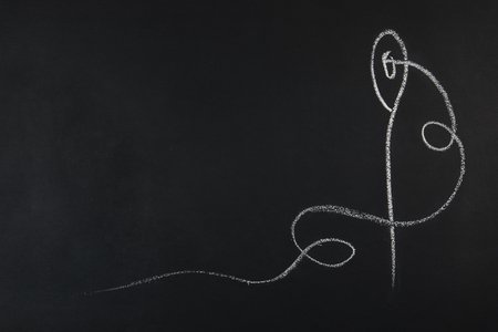 Group of sewing objects lying flat on a black chalkboard background. Horizontal background for ad or packaging.の写真素材