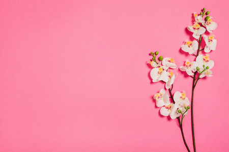Flat lay photo of a creative freelancer woman workspace desk with copy space background. Image taken from above, top view. Minimal style with colorful paper backdropの写真素材