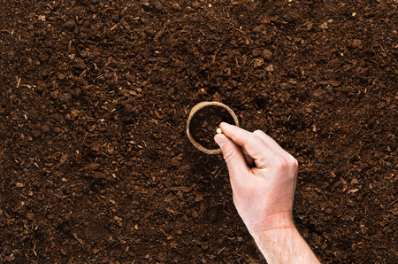 Fertile soil texture background seen from above, top view. Gardening or planting concept. Man's hand...