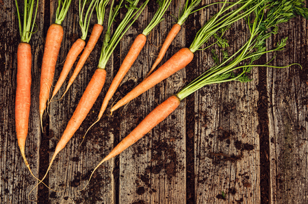 Raw, natural food background. Vegetables, carrot top view on old wooden desk background. Photograph taken from above, with dirt, soil, vintage planks. Vintage gardening concept with copy spaceの写真素材